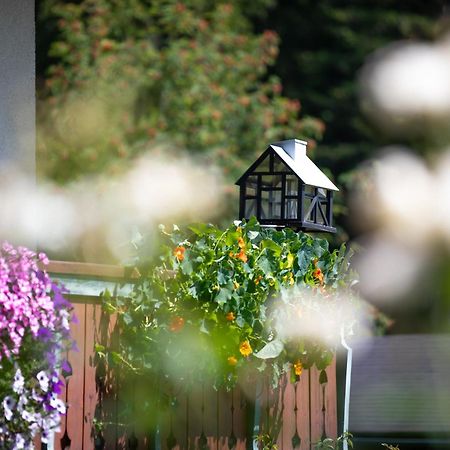Alpenhof Bed & Breakfast Рамзау ам Дахщайн Екстериор снимка
